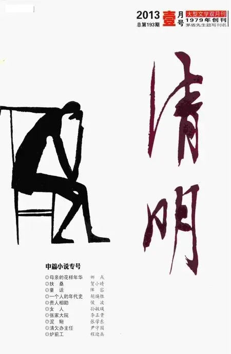 清明2013年全部期数