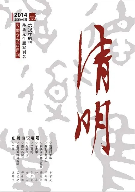 清明2014年全部期数