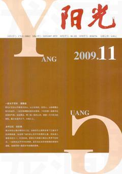 阳光2009年全部期数