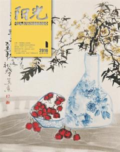 阳光2016年全部期数