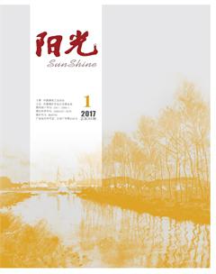 阳光2017年全部期数