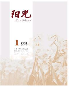 阳光2018年全部期数