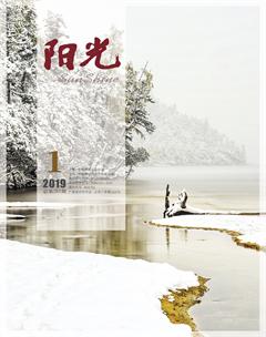 阳光2019年全部期数
