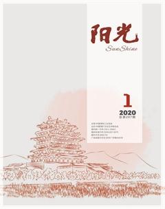 阳光2020年全部期数
