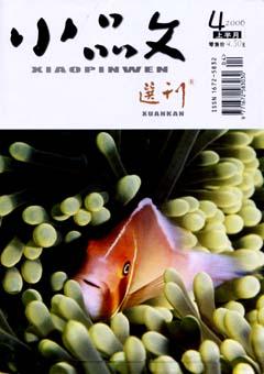 小品文选刊2006年全部期数
