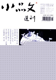 小品文选刊2007年全部期数