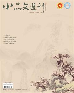 小品文选刊2019年全部期数
