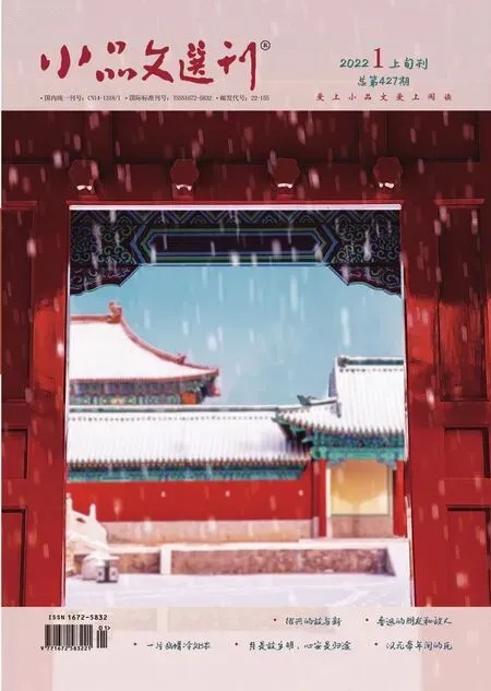 小品文选刊2022年全部期数