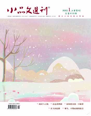 小品文选刊2023年全部期数