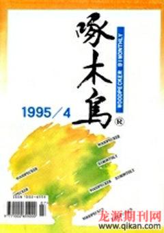 啄木鸟1995年全部期数
