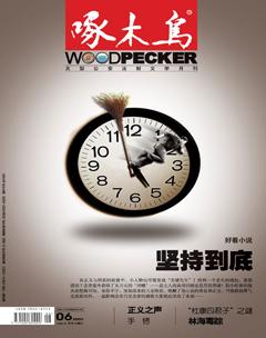 啄木鸟2009年全部期数