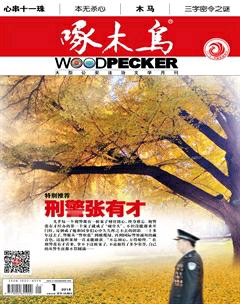 啄木鸟2018年全部期数