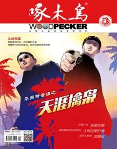 啄木鸟2021年全部期数