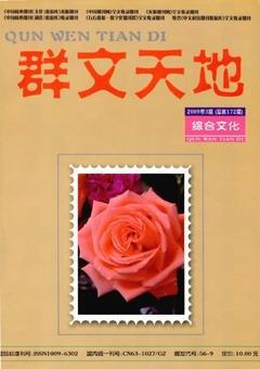 群文天地2009年全部期数