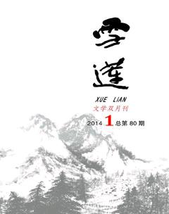 雪莲2014年全部期数