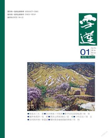 雪莲2022年全部期数