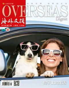 海外文摘2016年全部期数