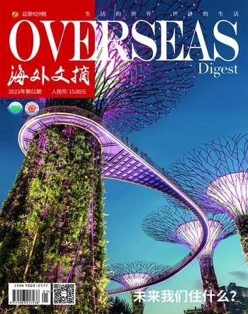海外文摘2023年全部期数