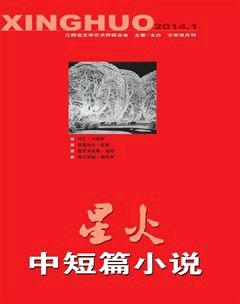 星火·中短篇小说2014年全部期数