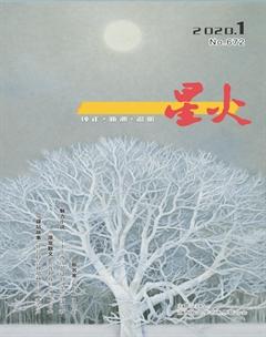 星火·中短篇小说2020年全部期数