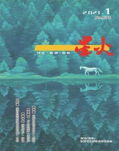 星火·中短篇小说2021年全部期数