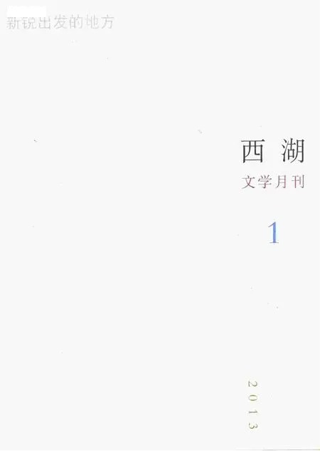 西湖2013年全部期数