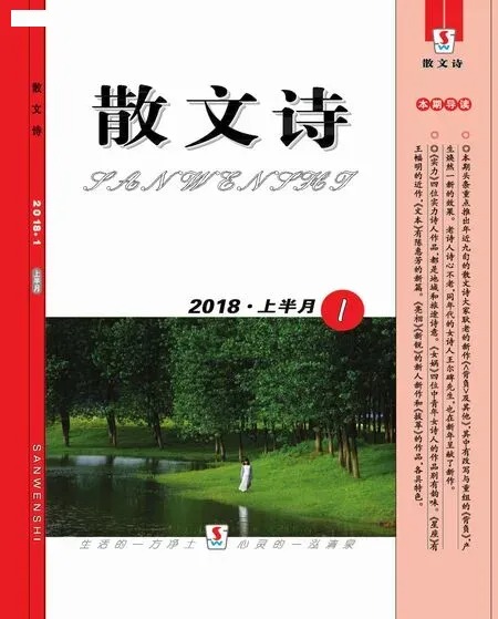 散文诗2018年全部期数