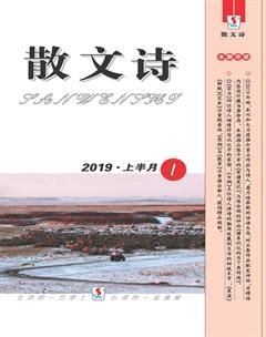 散文诗2019年全部期数