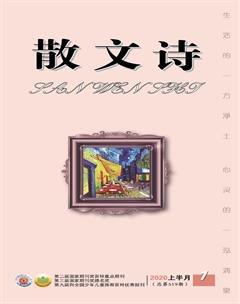 散文诗2020年全部期数