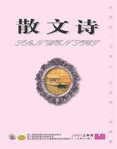 散文诗2021年全部期数