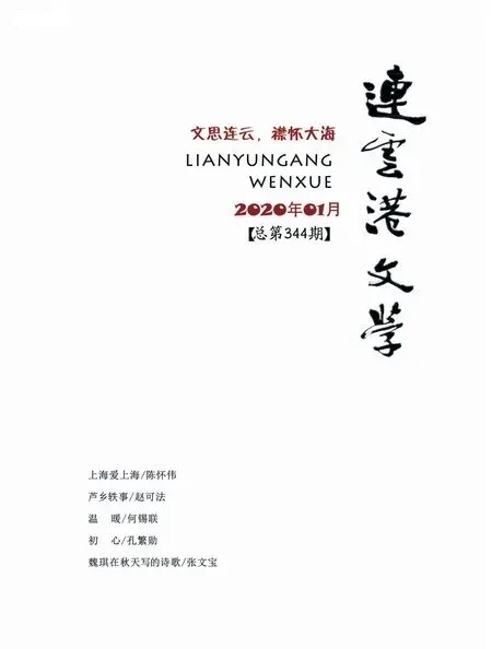 连云港文学2020年全部期数