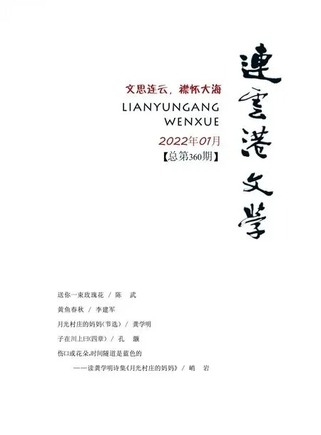 连云港文学2022年全部期数