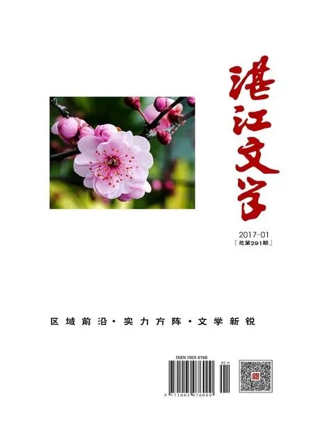 湛江文学2017年全部期数