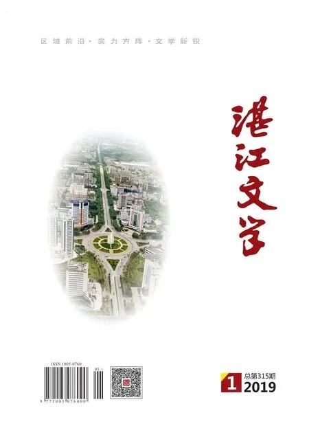 湛江文学2019年全部期数