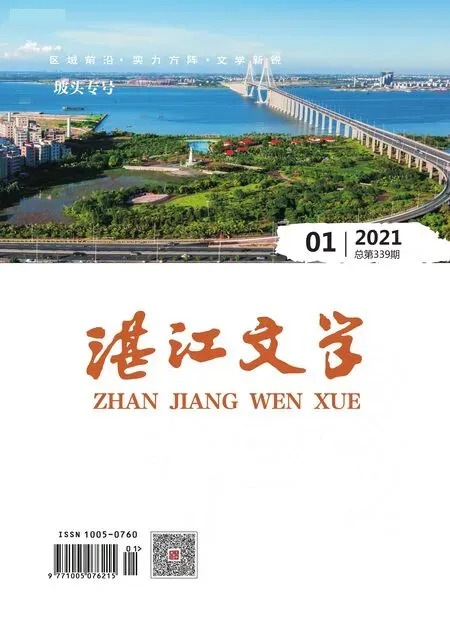 湛江文学2021年全部期数