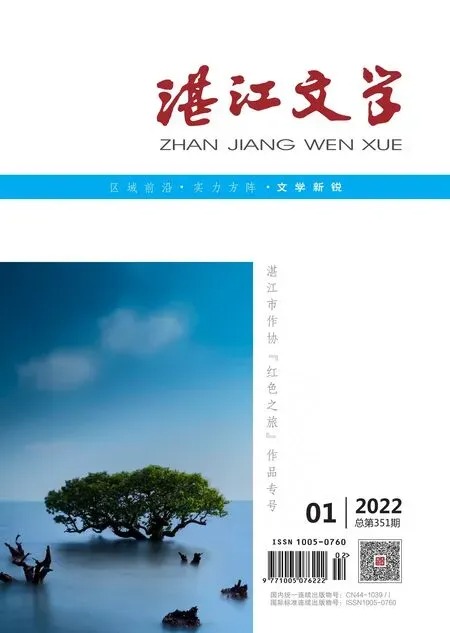 湛江文学2022年全部期数