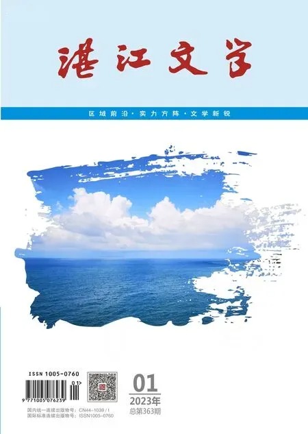 湛江文学2023年全部期数