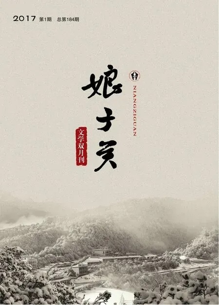 娘子关2017年全部期数