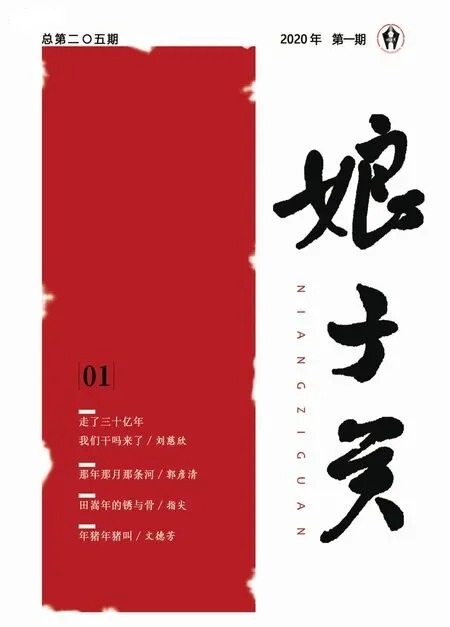 娘子关2020年全部期数