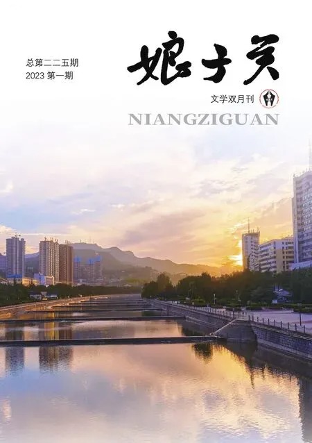 娘子关2023年全部期数