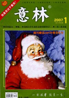 意林2007年全部期数