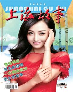 上海故事2017年全部期数