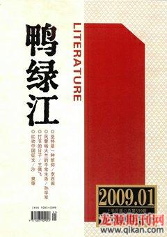鸭绿江2009年全部期数