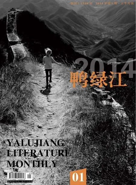 鸭绿江2014年全部期数
