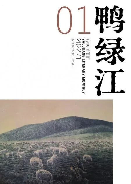 鸭绿江2022年全部期数