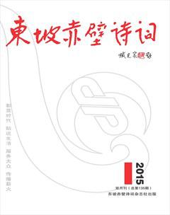 东坡赤壁诗词2015年全部期数