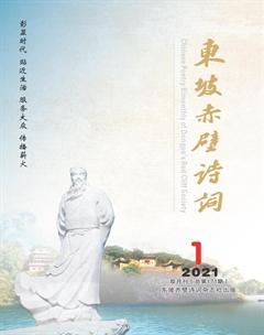 东坡赤壁诗词2021年全部期数