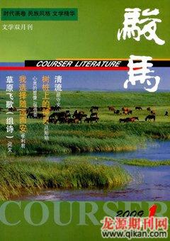 骏马2009年1期