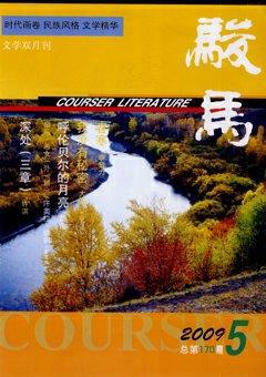 骏马2009年5期