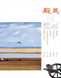 骏马2014年5期
